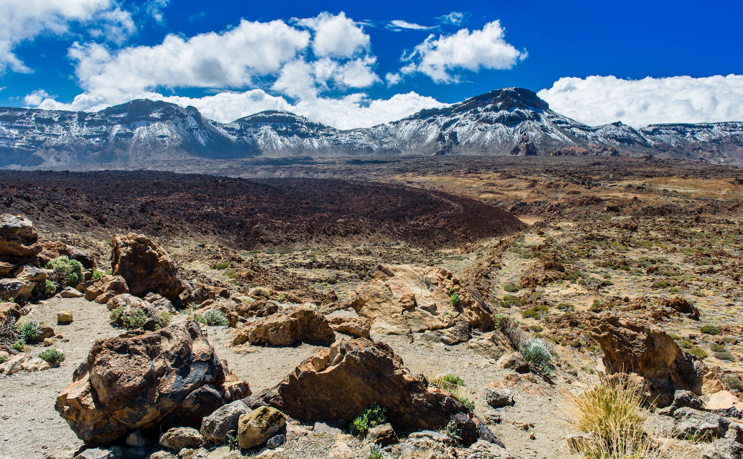 Choses intéressantes à faire sur l’île de Tenerife