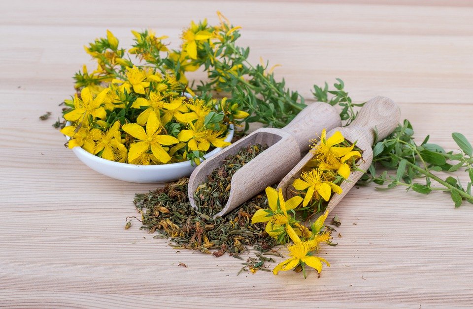 La naturopathie pour améliorer naturellement votre bien-être